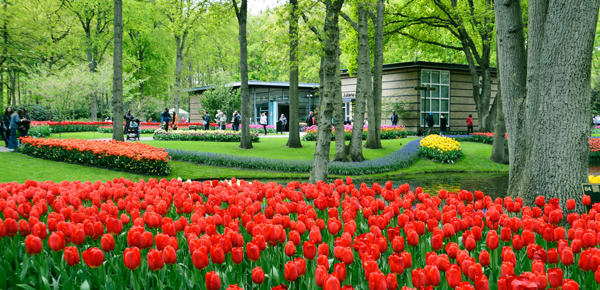 Keukenhof