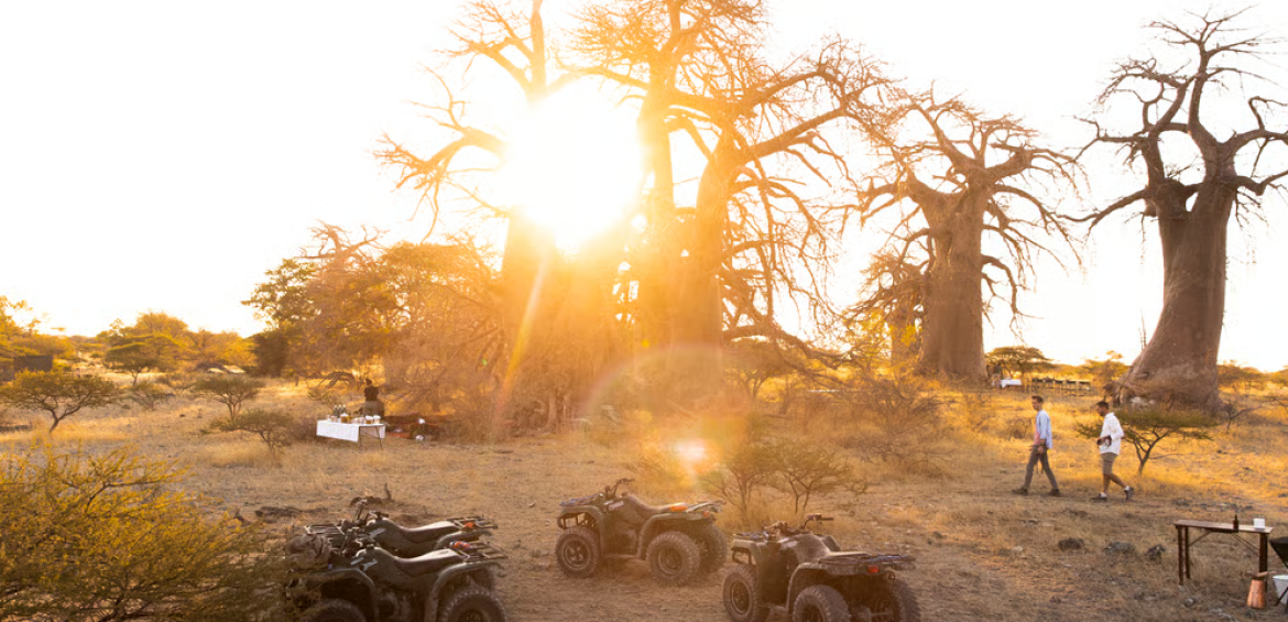 Ne vedem în această clipă